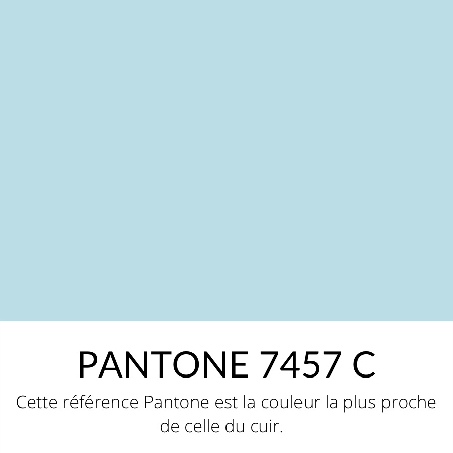 [Bientôt dispo] Cuir pleine fleur Vachette Lisse Souple Satiné Bleu ciel