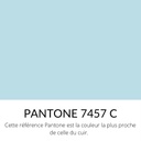 [Bientôt dispo] Cuir pleine fleur Vachette Lisse Souple Satiné Bleu ciel
