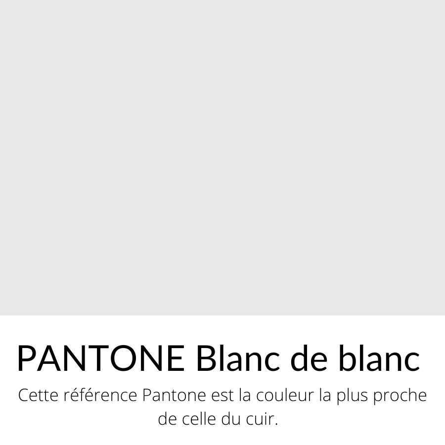 [Bientôt dispo]  Vachette Grainé Souple Classique Blanc