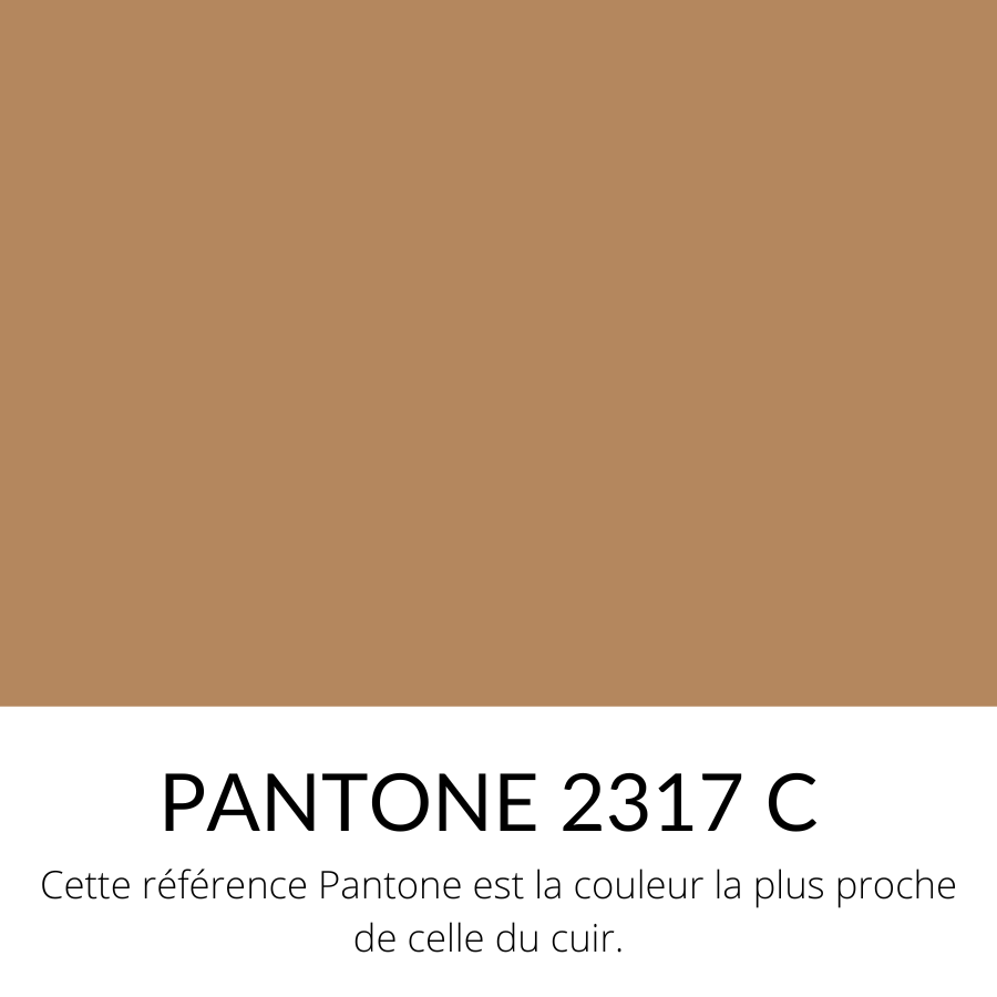 [Bientôt dispo]  Vachette Grainé Souple Classique Sable Mouillé