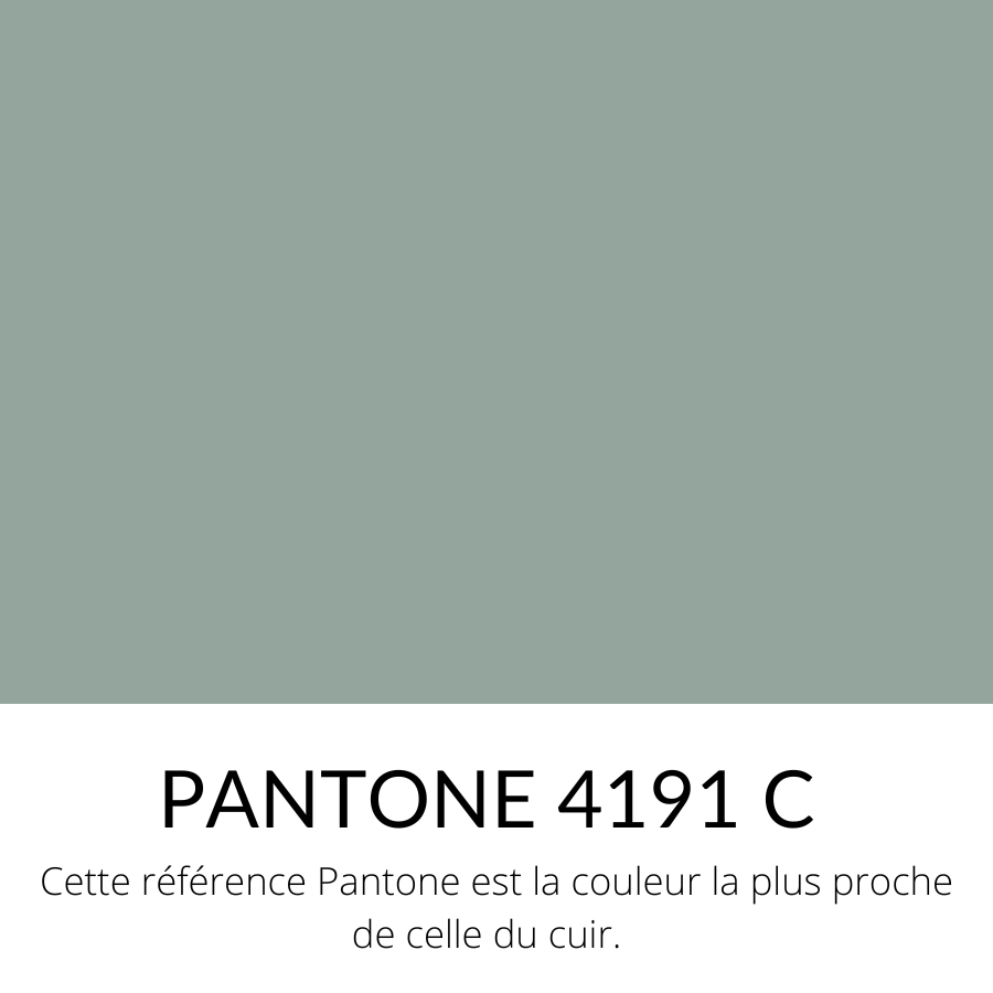 [Bientôt dispo]  Vachette Lisse souple Classique Vert Eucalyptus