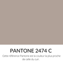  Toile  de Coton  Taupe