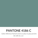   Veau Grainé caviar Souple Classique Vert eucalyptus