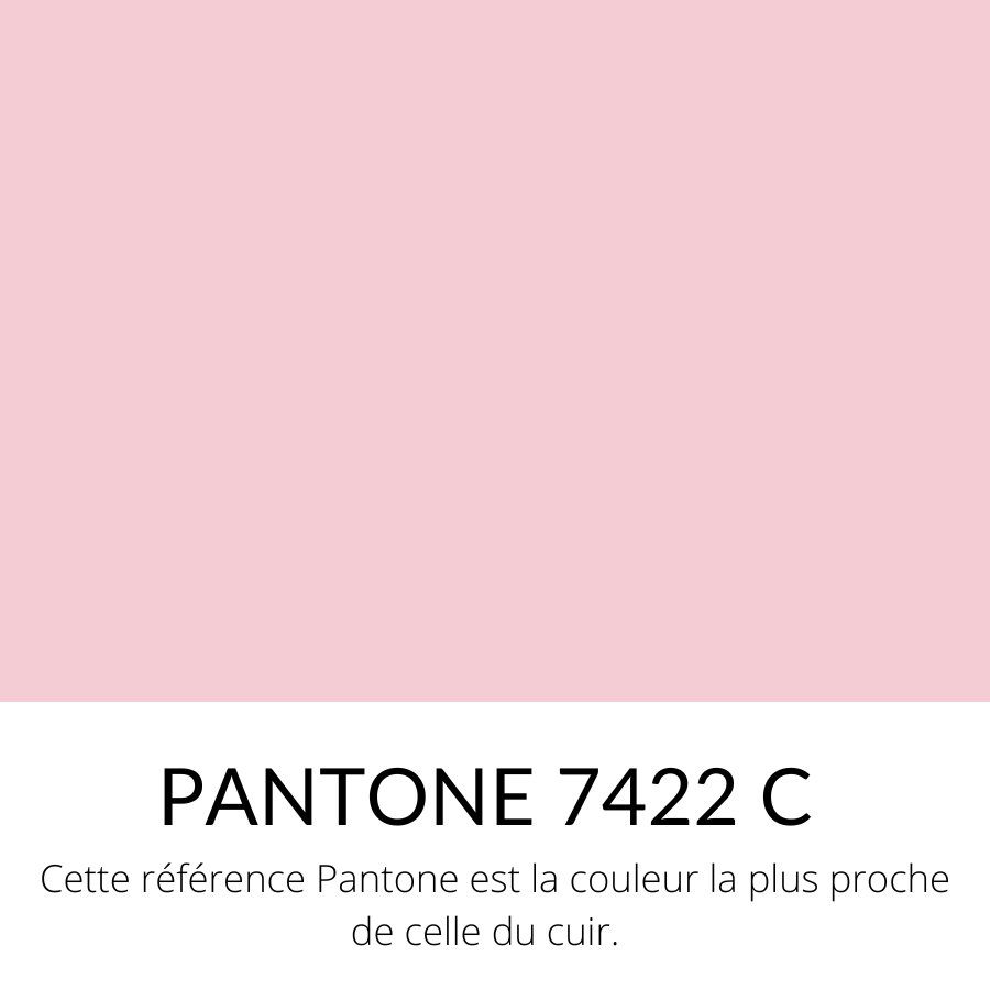 [Bientôt dispo]  Vachette Grainé Souple Classique Rose Pâle