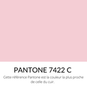 [Bientôt dispo]  Vachette Grainé Souple Classique Rose Pâle