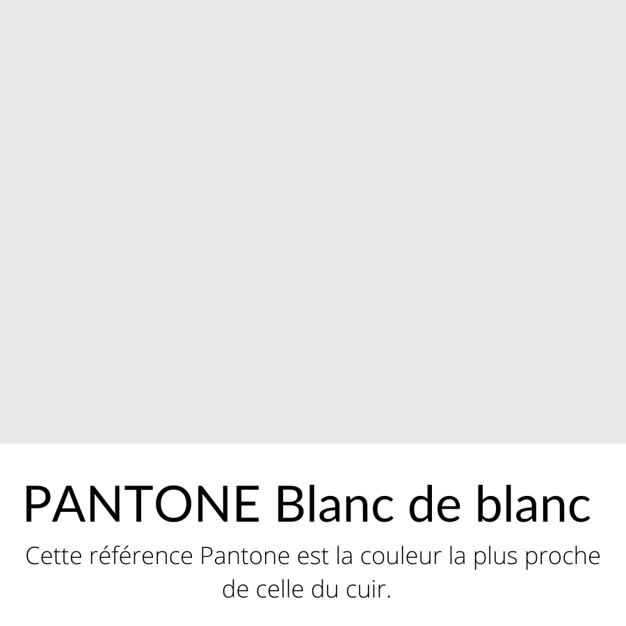 [Bientôt dispo]  Vachette Lisse Ferme Classique Blanc