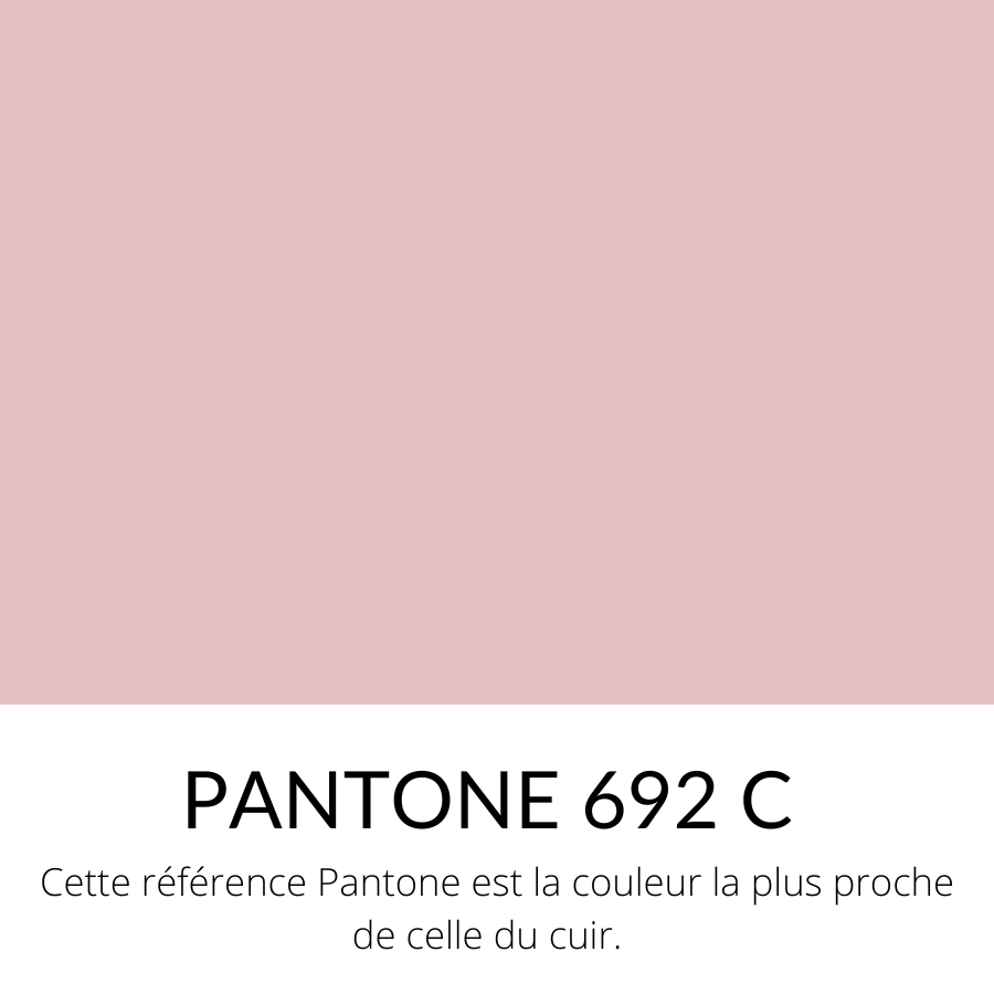 [Bientôt dispo]  Veau Lisse Souple Vernis Rose ballerine