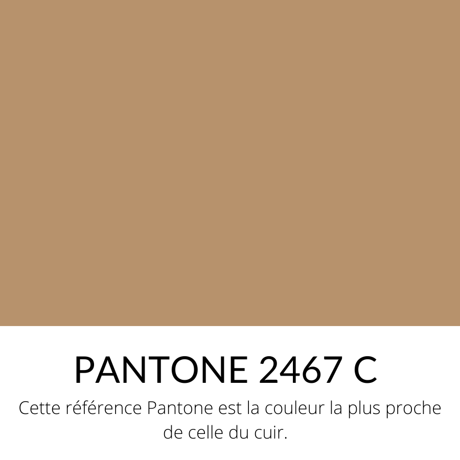 [Bientôt dispo]  Veau Grainé Souple Classique Camel clair