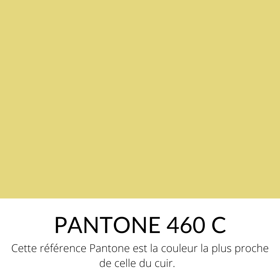 [Bientôt dispo] Cuir pleine fleur Veau Lisse Ferme Vernis Jaune pâle