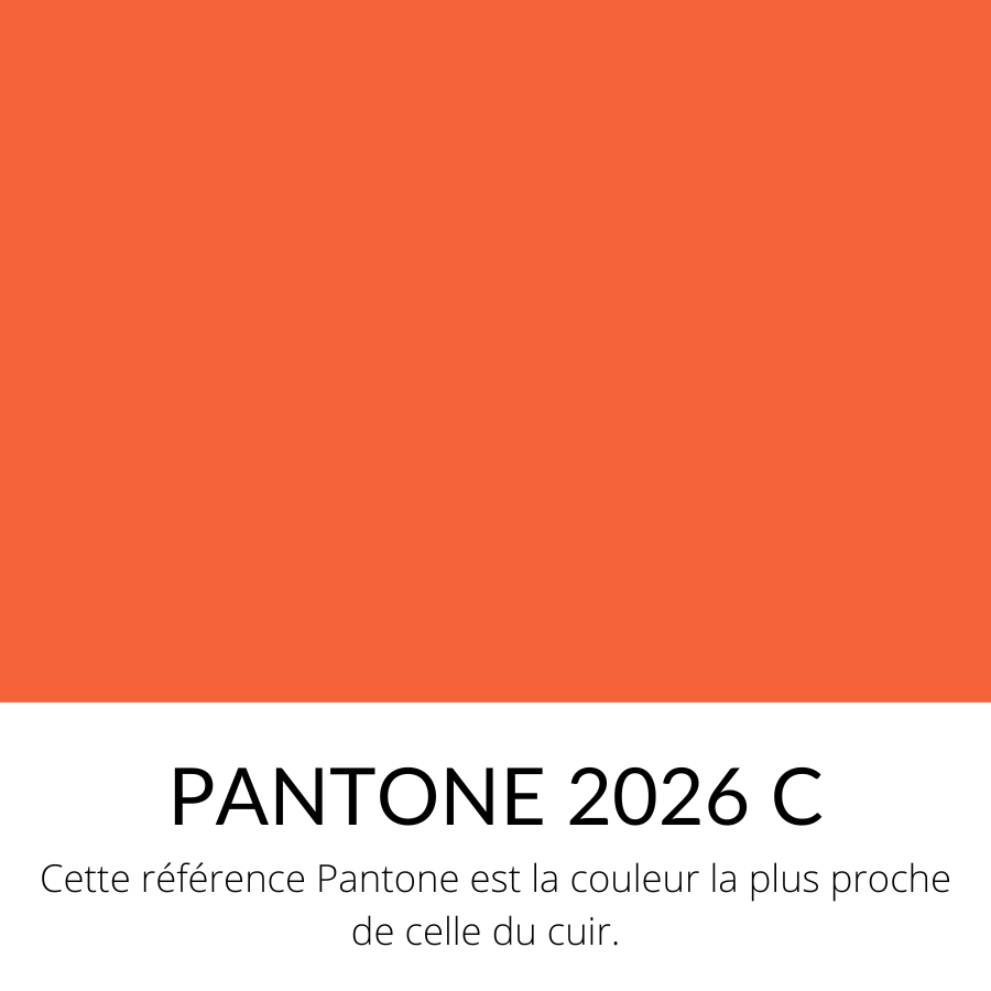 Vachette Grainé Souple Classique Orange