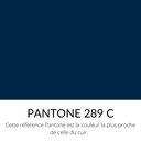   Veau Grainé mini caviar Souple Brillant Bleu nuit