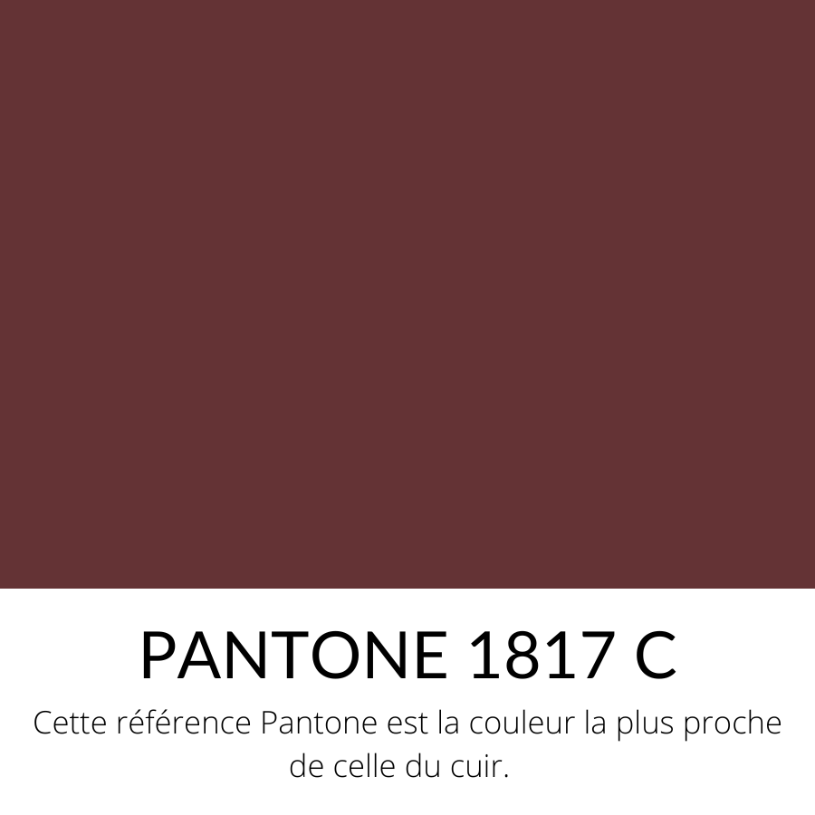 Vachette Grainé Souple Classique Bordeaux