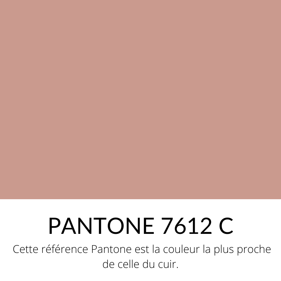 [Bientôt dispo]  Veau Lisse Souple Vernis Rose Ballerine