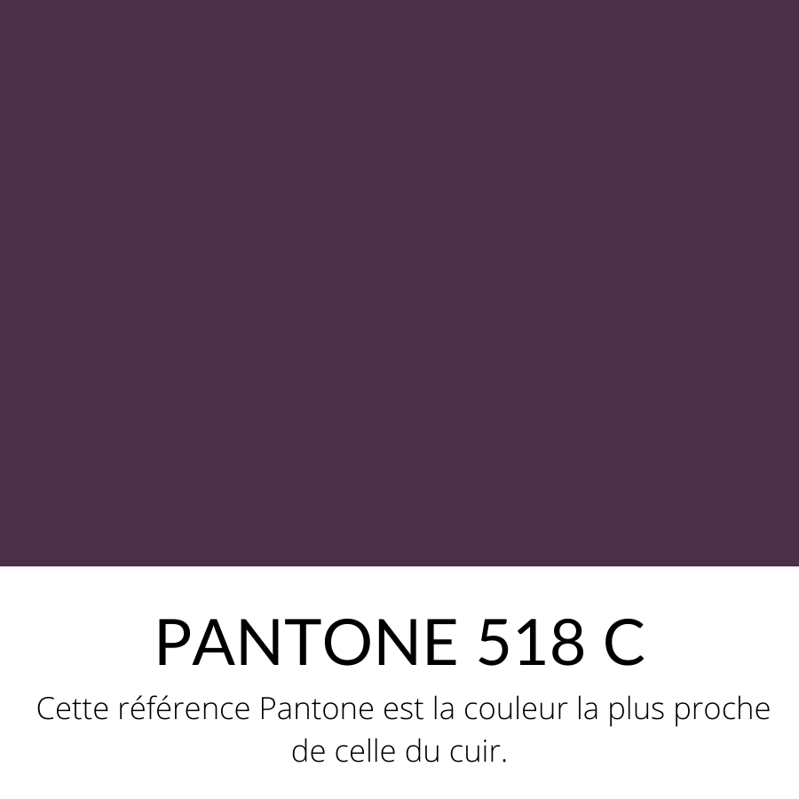 Agneau Lisse Souple Classique Aubergine