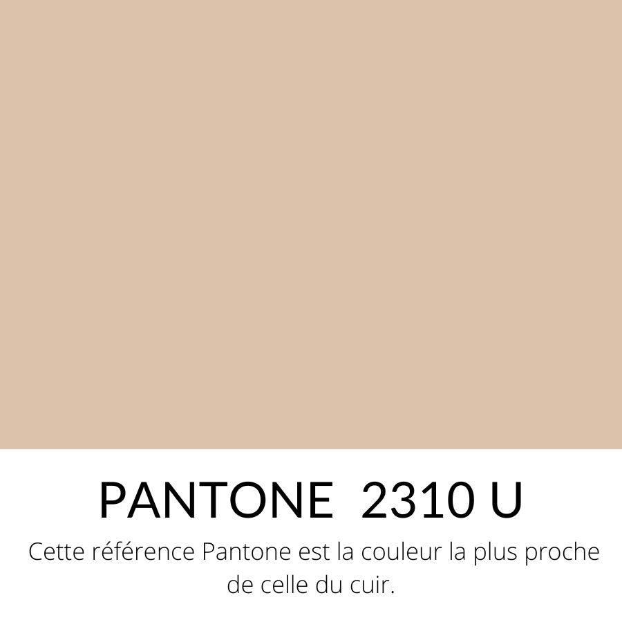[SOURCING]  Veau Grainé Mini Caviar Souple Brillant Beige