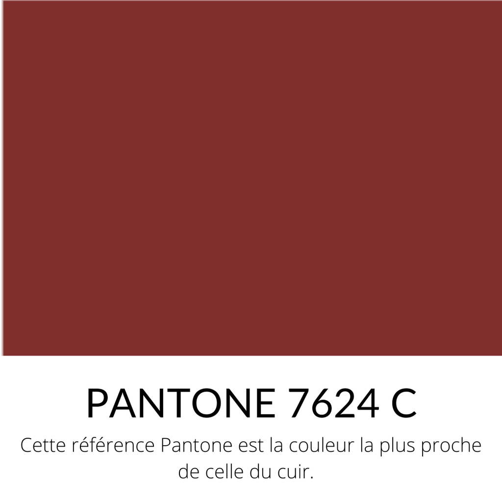   Vachette Froissée Lisse Ferme Vernis Terre rouge