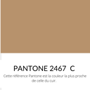 Veau Lisse Souple Métallisé Or