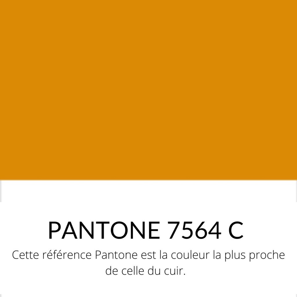 [SOURCING]  Vachette Grainé Souple Classique Orange mandarine