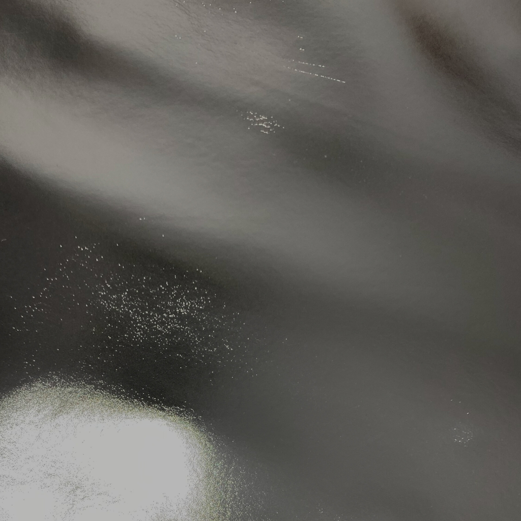   Veau Lisse Ferme Métallisé Argent