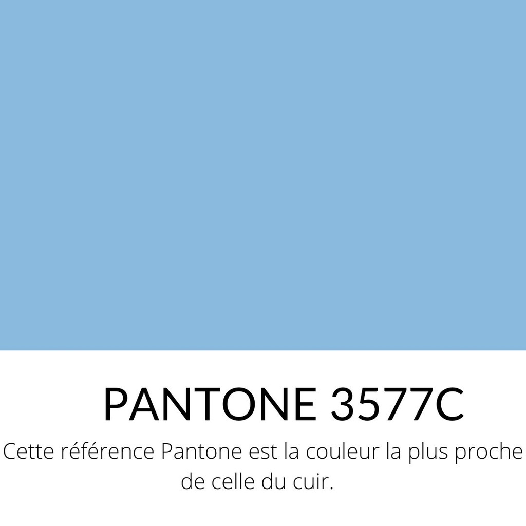   Veau Grainé Souple Classique Bleu Ciel