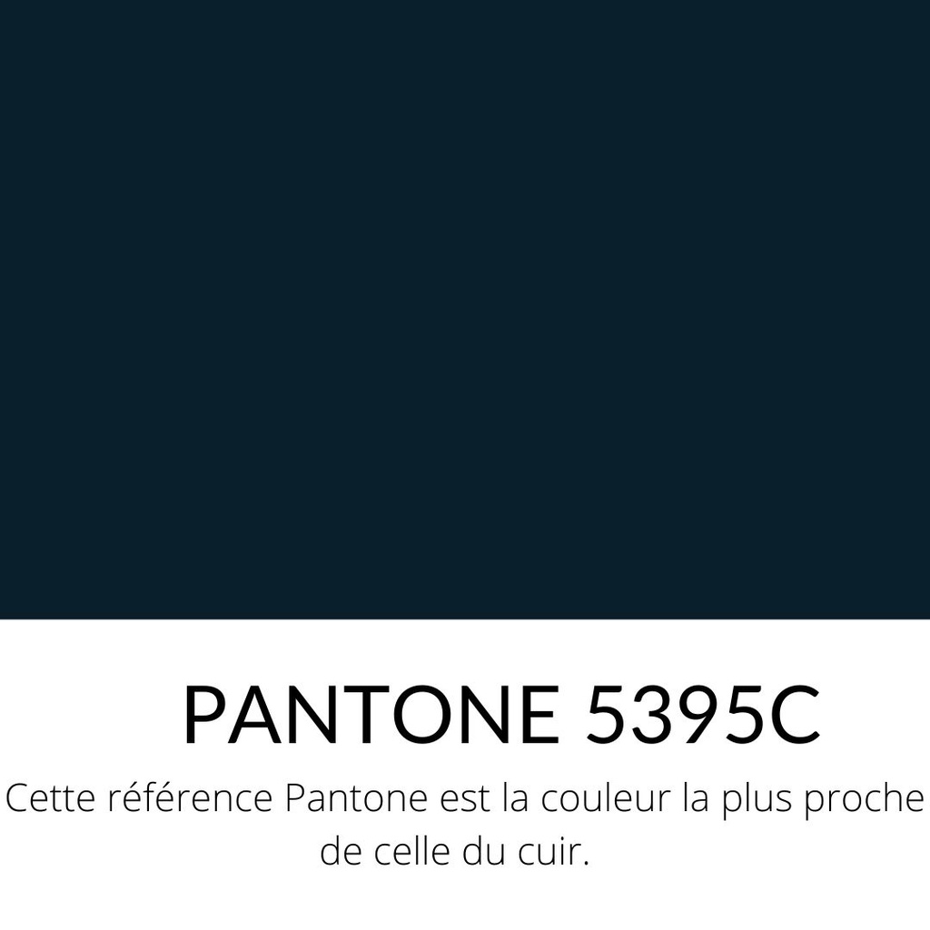   Veau Lisse Souple Classique Bleu marine