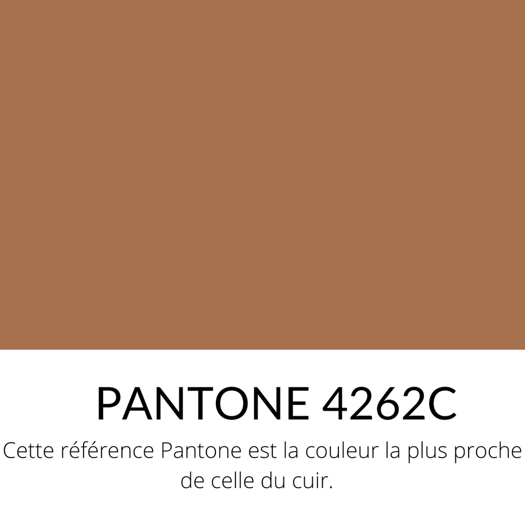 [SOURCING]  Veau Lisse Souple Classique Camel