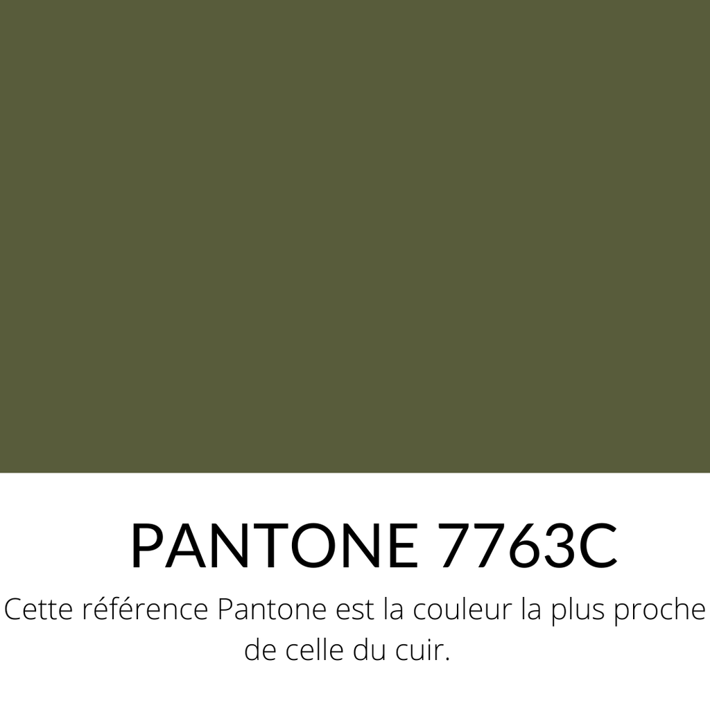  Veau Grainé mini caviar Souple Brillant Vert Kaki