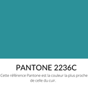   Veau Grainé Caviar Souple Brillant Bleu turquoise