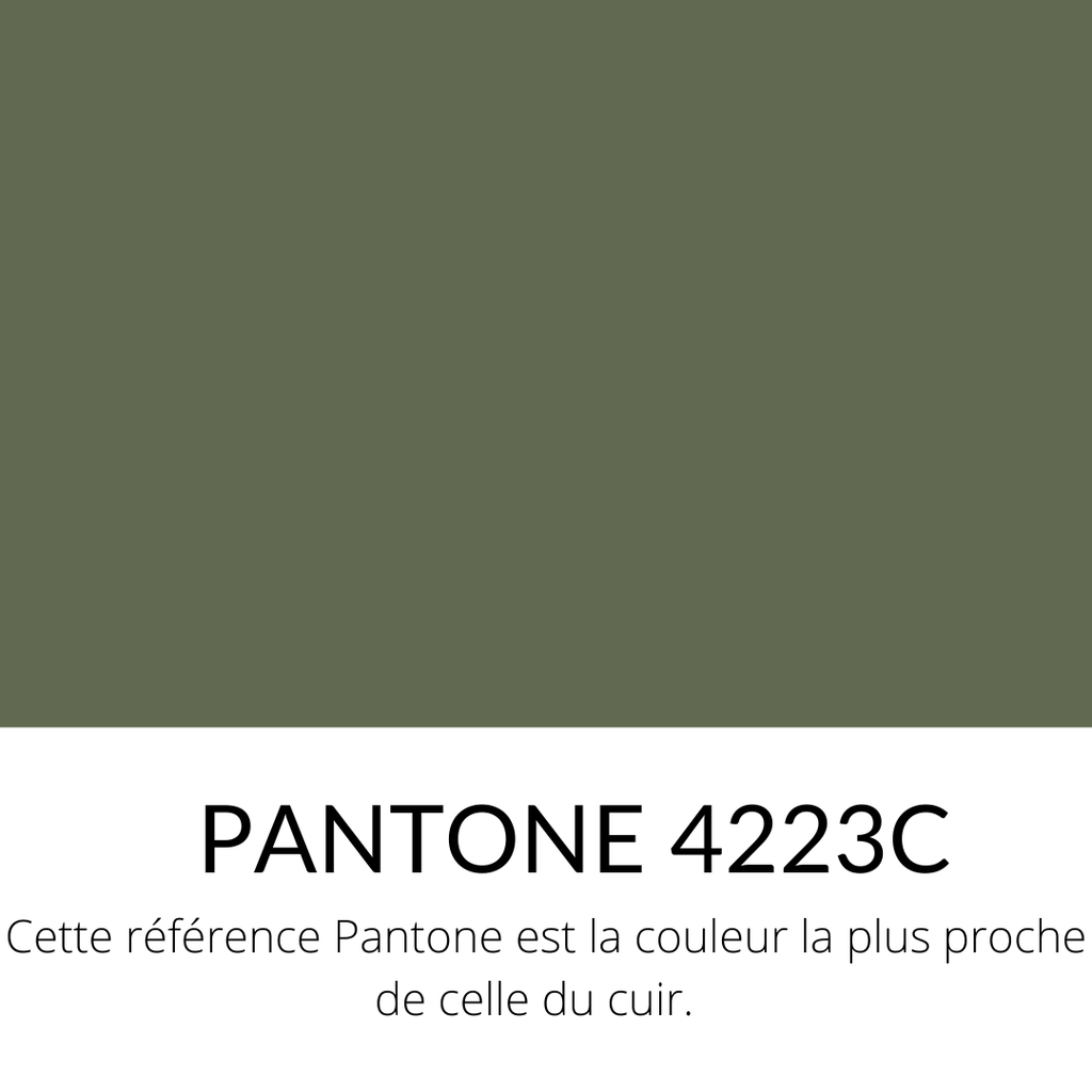   Veau Gros grain caviar Souple Brillant Vert Kaki