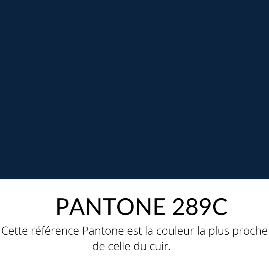   Veau Grainé mini caviar Souple Brillant Bleu marine