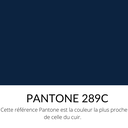   Veau Grainé mini caviar Souple Brillant Bleu marine