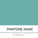   Veau Grainé mini Caviar Souple Brillant Vert turquoise