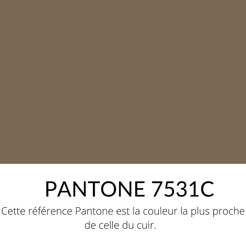 Veau Grainé Souple Classique Taupe