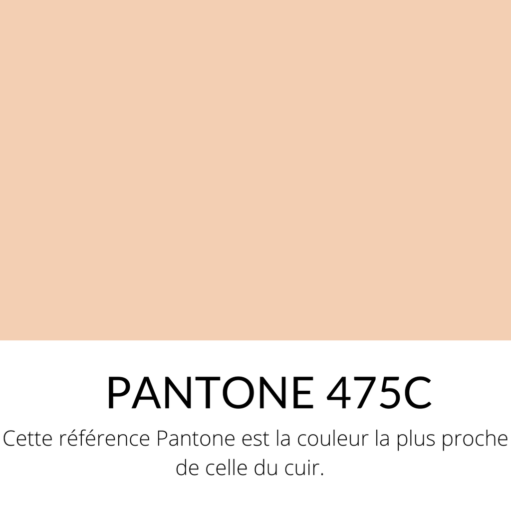   Veau Lisse Souple Classique Nude