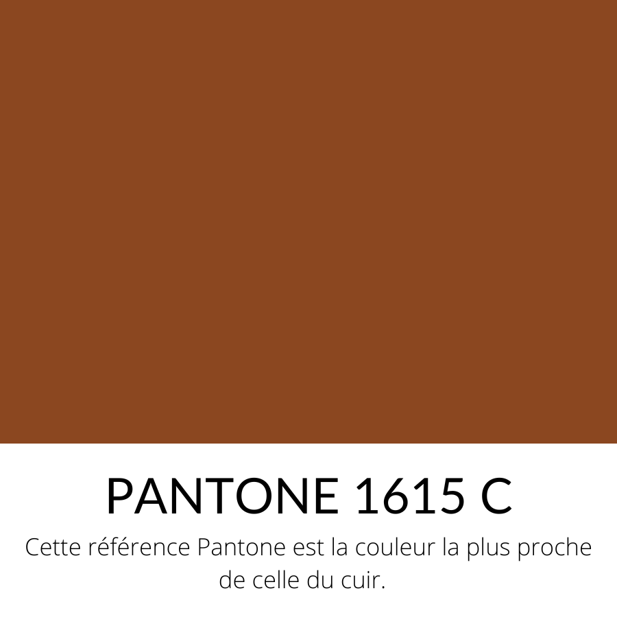 Vachette petit grain souple Fauve