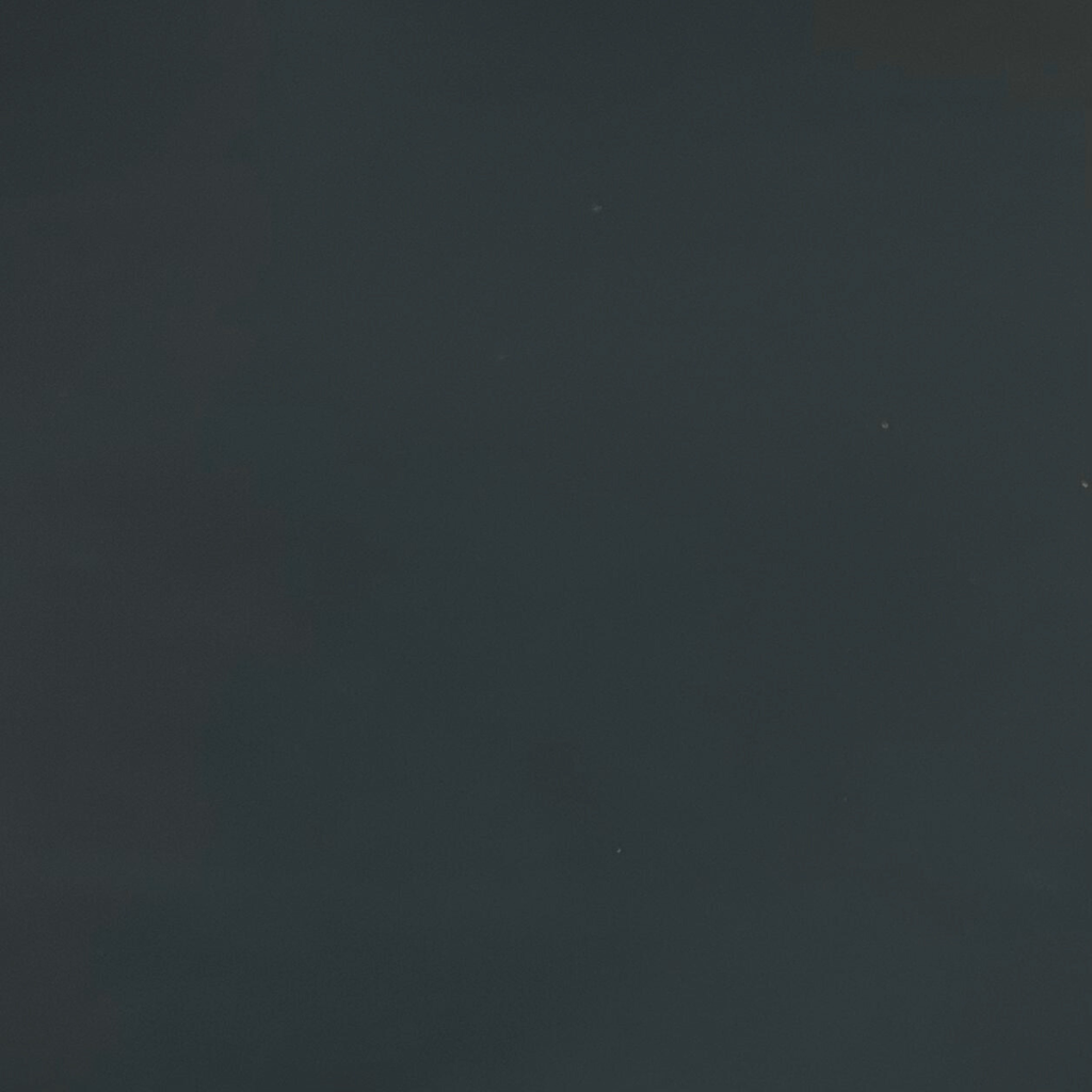 Veau Lisse Souple Classique Vert sapin