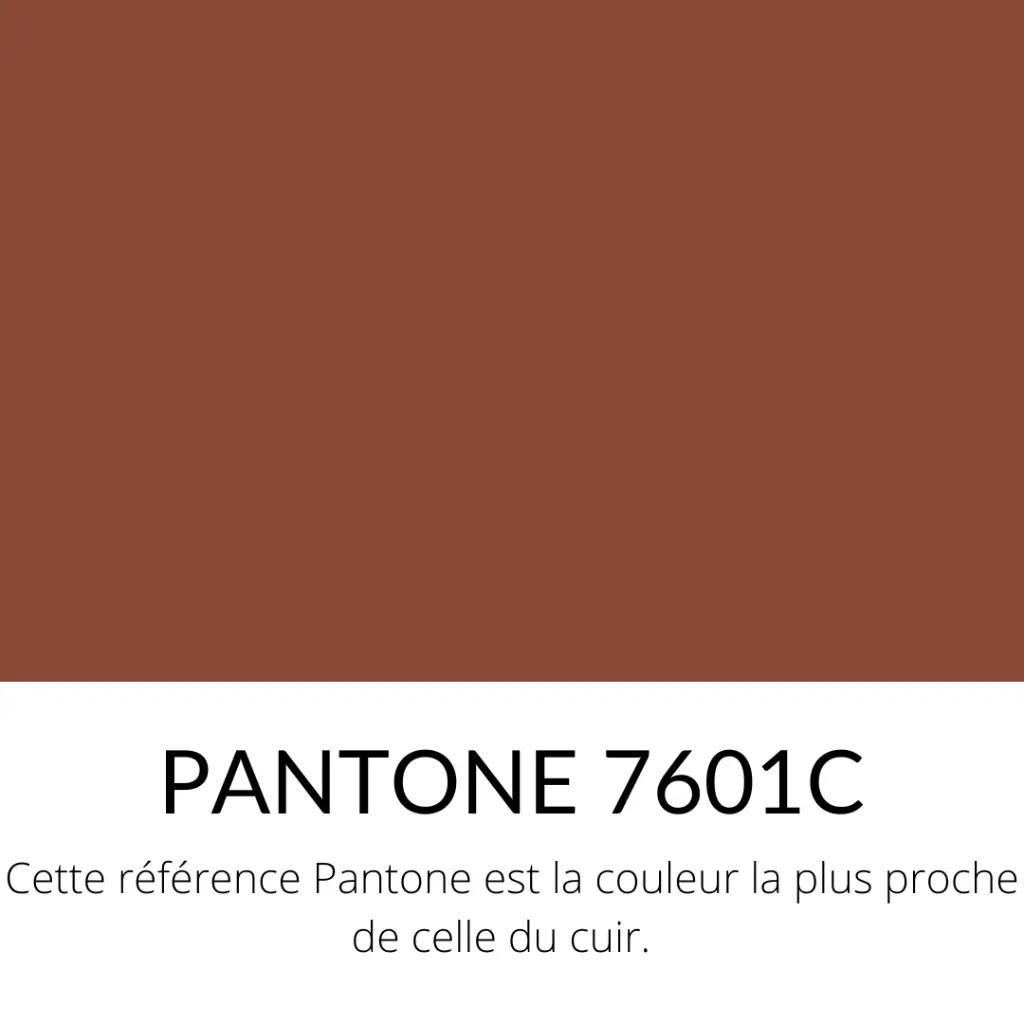 Veau Lisse Souple Classique Fauve