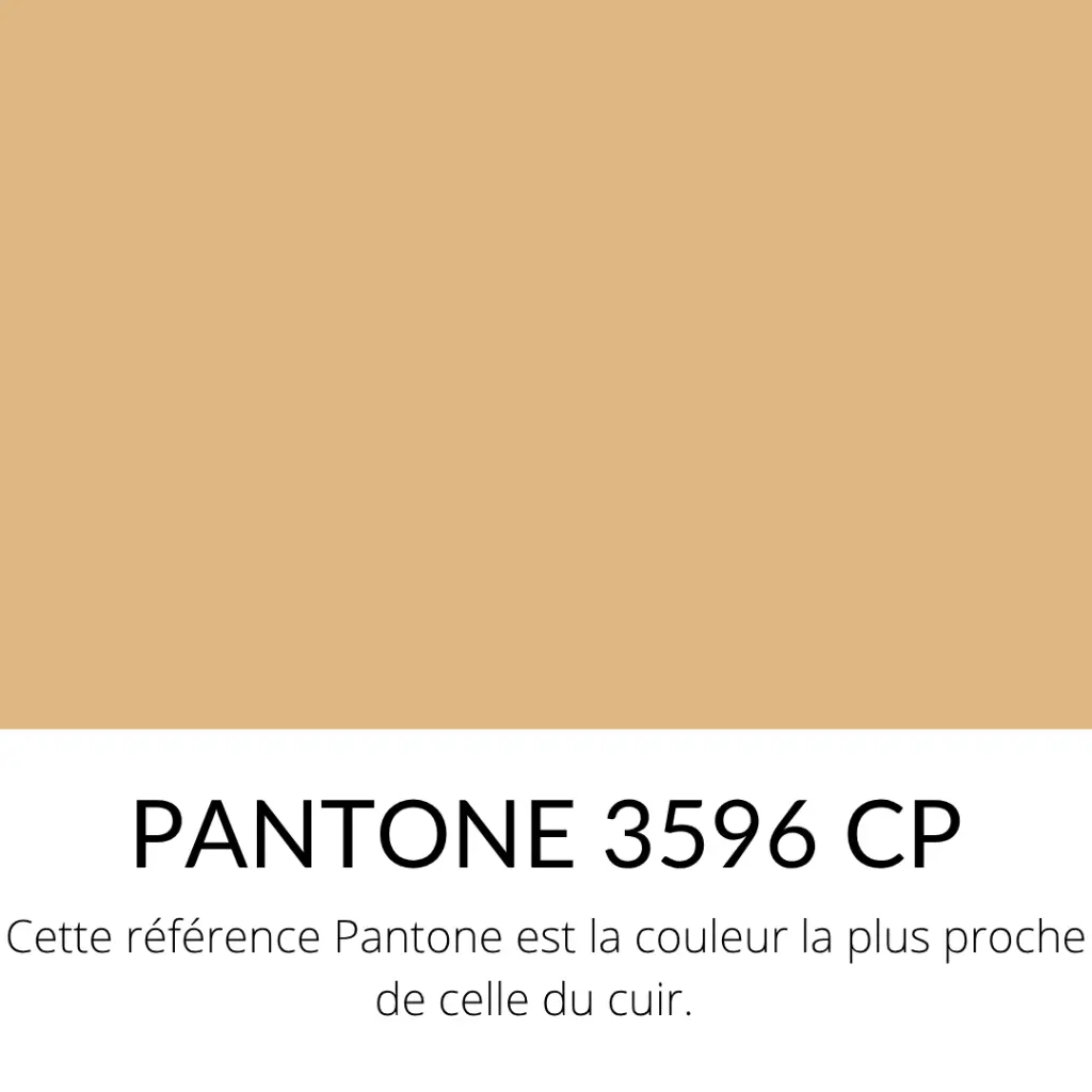 Croûte de cuir Veau Lisse Souple Velours Beige