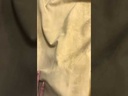 Croûte de cuir Veau Lisse Souple Velours Beige