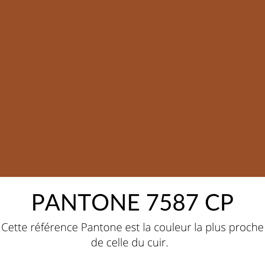 Chèvre Lisse Souple Velours Cognac