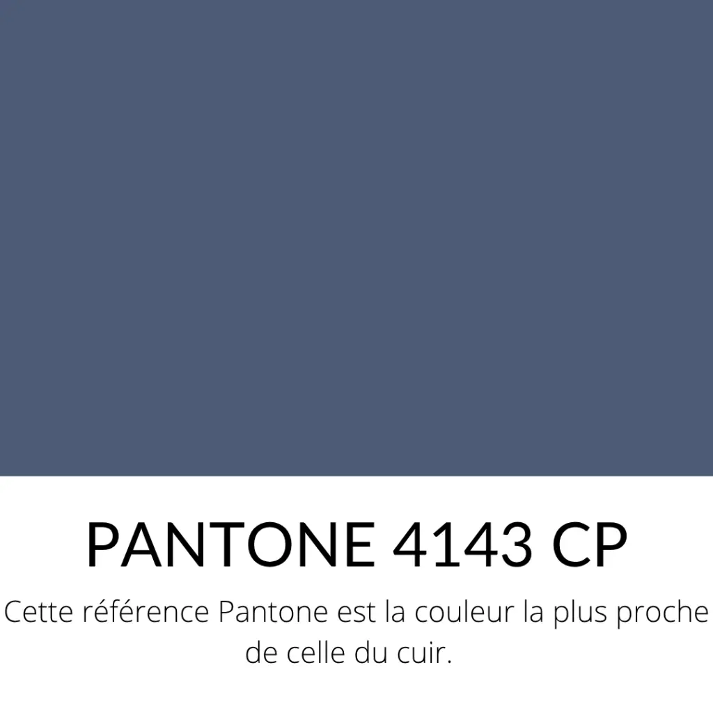 Chèvre Lisse Souple Velours Marine