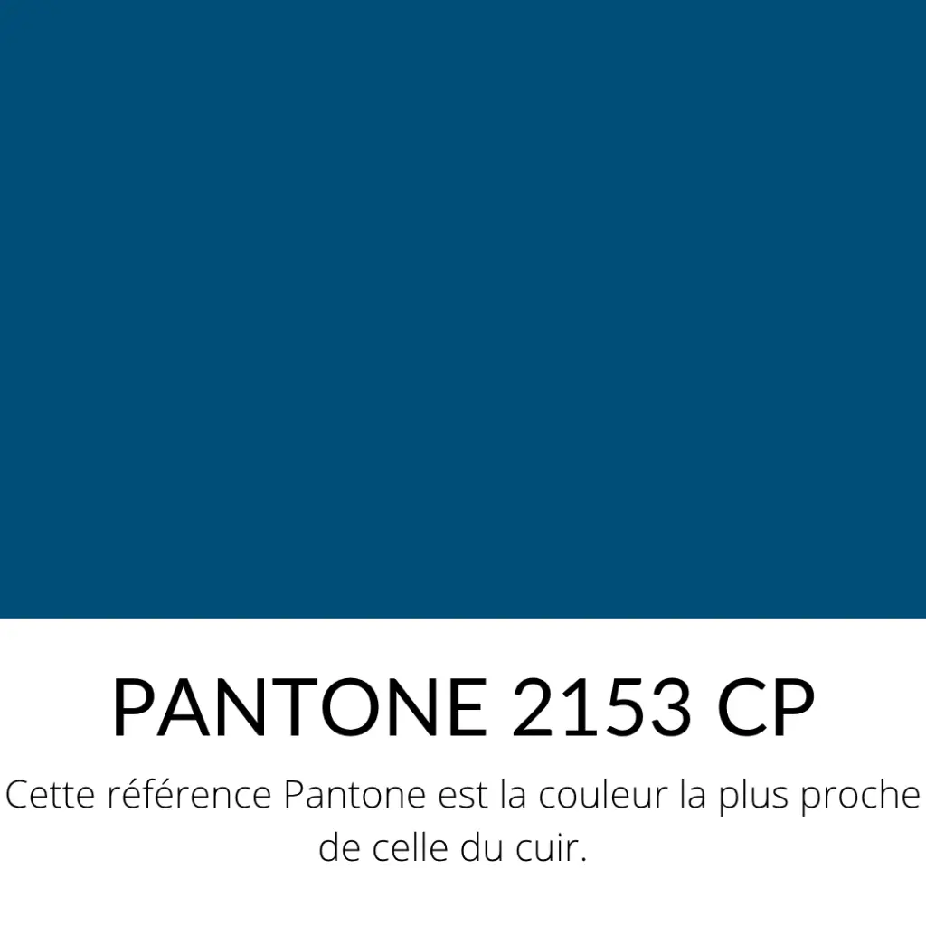Chèvre Grainée Souple Bleu Roi