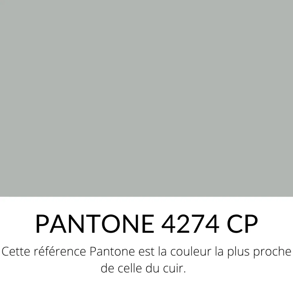 Babycalf grainé souple argent antique