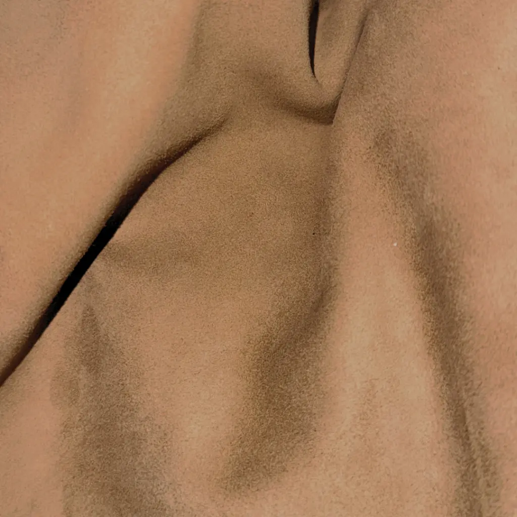 Chèvre Lisse Souple Velours Chamois