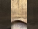 Chèvre Lisse Souple Velours Chamois