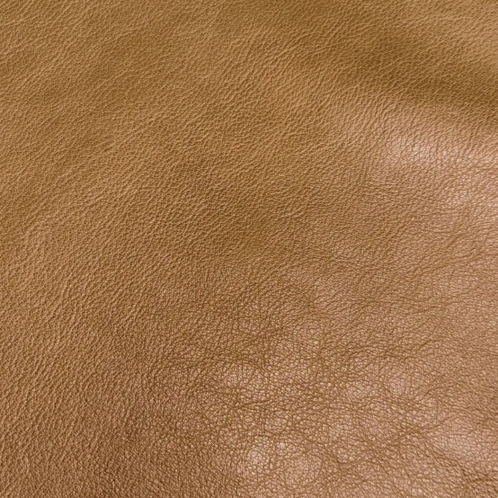 Chèvre Grainée Souple Chamois