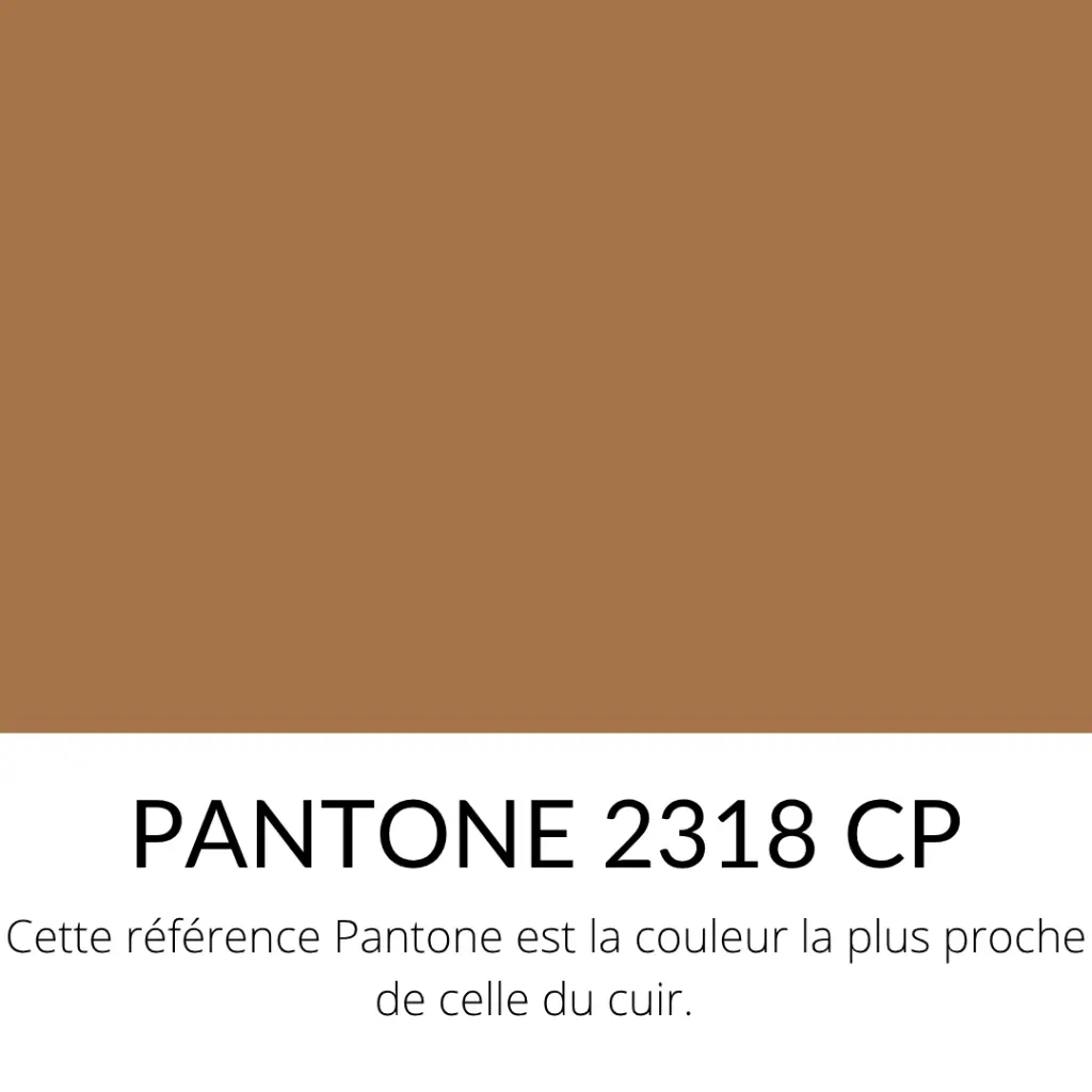 Chèvre Grainée Souple Chamois