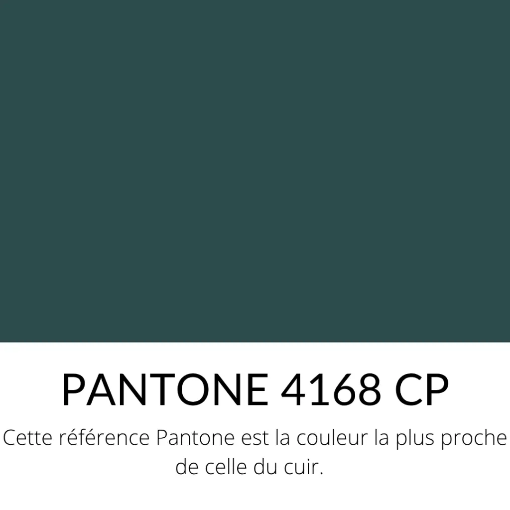 Taurillon Nubuck Embossé croco Souple Vert sapin