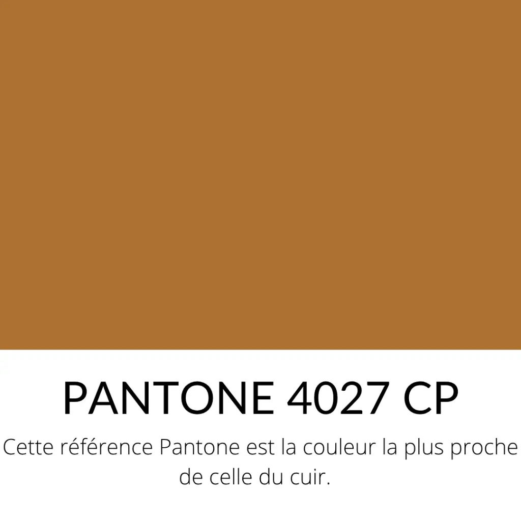 Taurillon Nubuck Embossé croco Souple Chamois