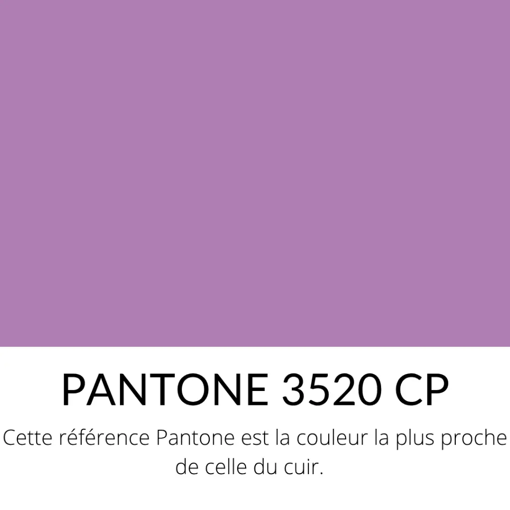 Agneau Lisse Souple Classique Mauve